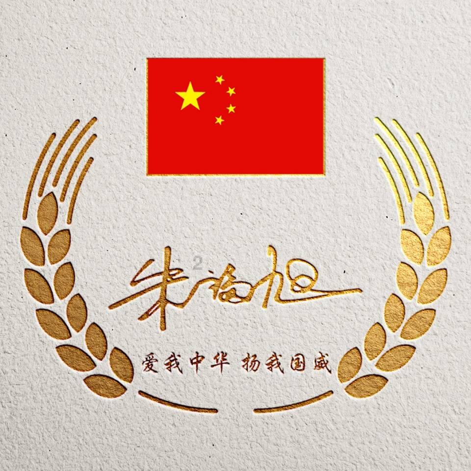 大白猫逃脱